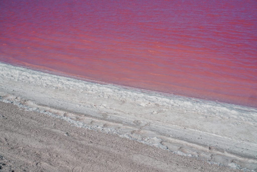 Las Coloradas Pink Lake in Mexico