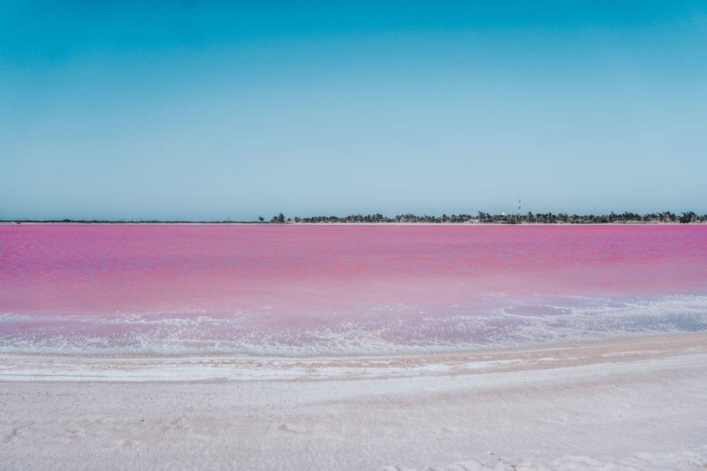 Las Coloradas Pink Lake in Mexico