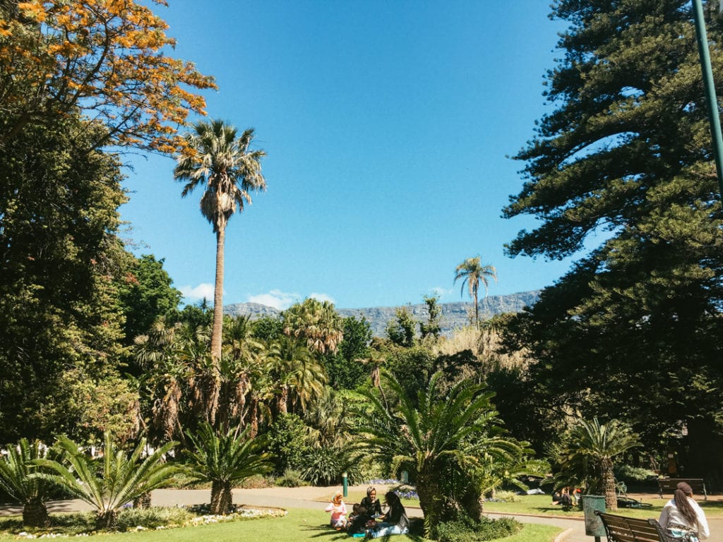 Things to Do in Cape Town South Africa - Company's Garden