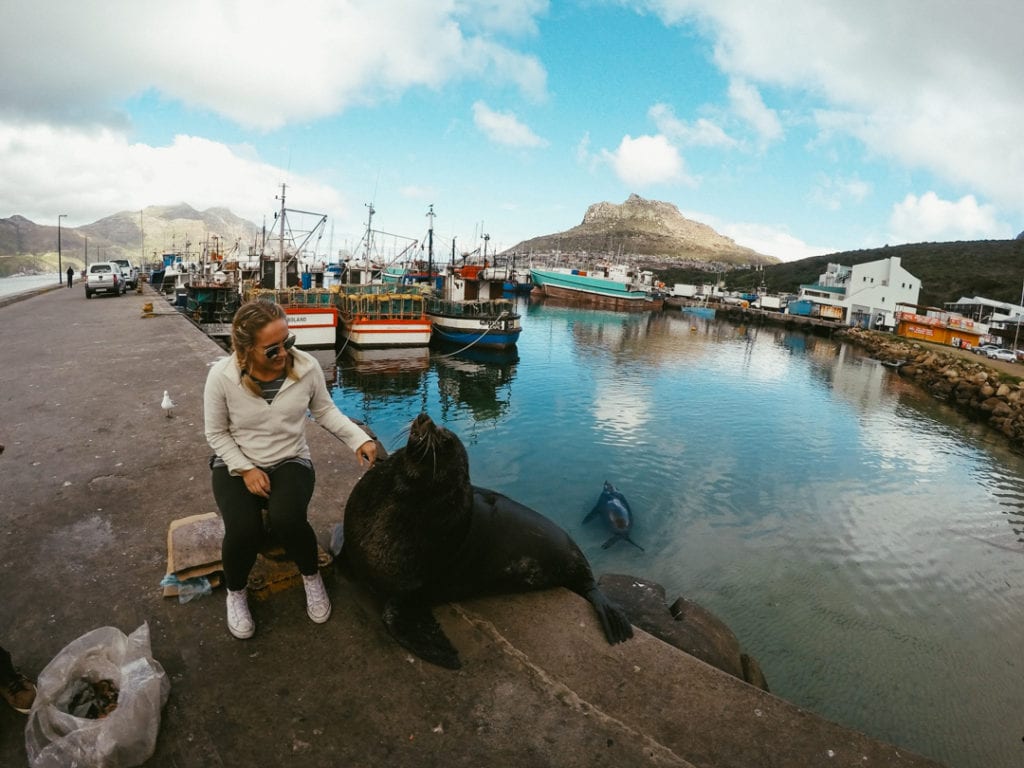 Things to Do in Cape Town South Africa - Kalk Bay