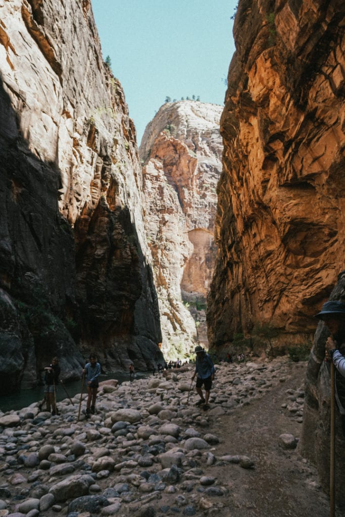The Narrows Hiking Bottom and Back in Zion National Park
