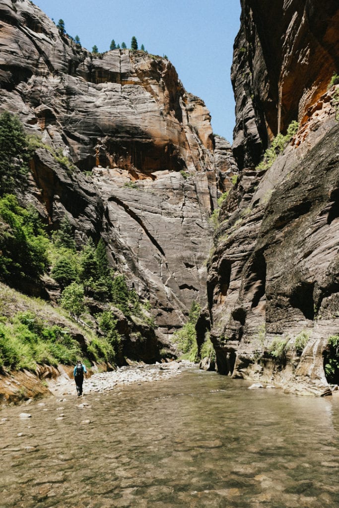 How to Hike Narrows at Zion National Park