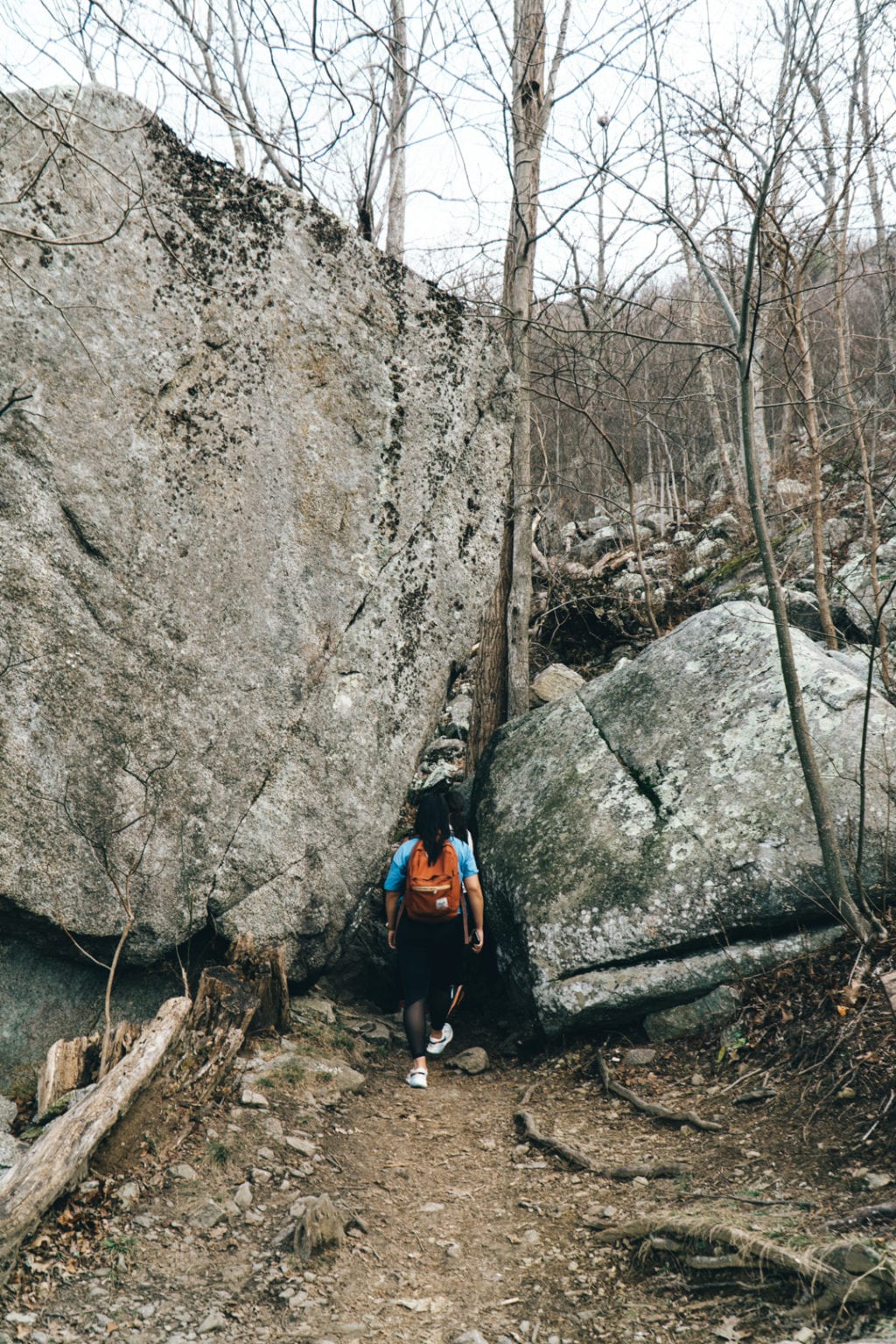 Hiking to Old Rag Summit - the shorter way! - Caroline Rose Travel