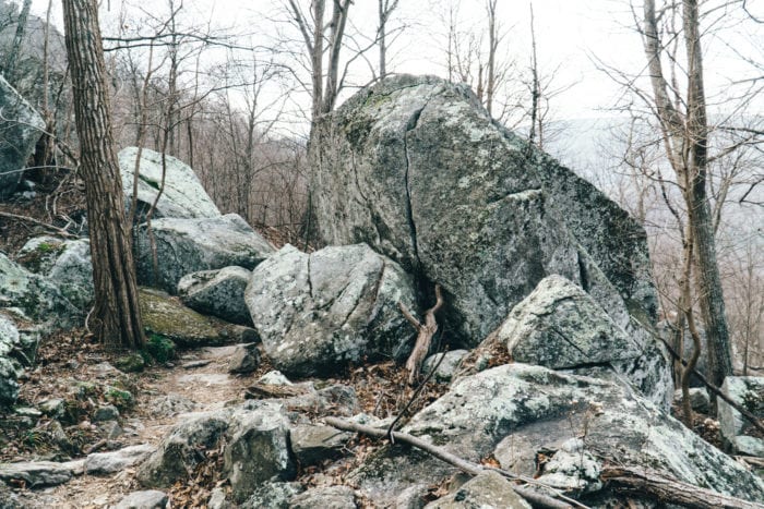 Hiking to Old Rag Summit - the shorter way! - Caroline Rose Travel