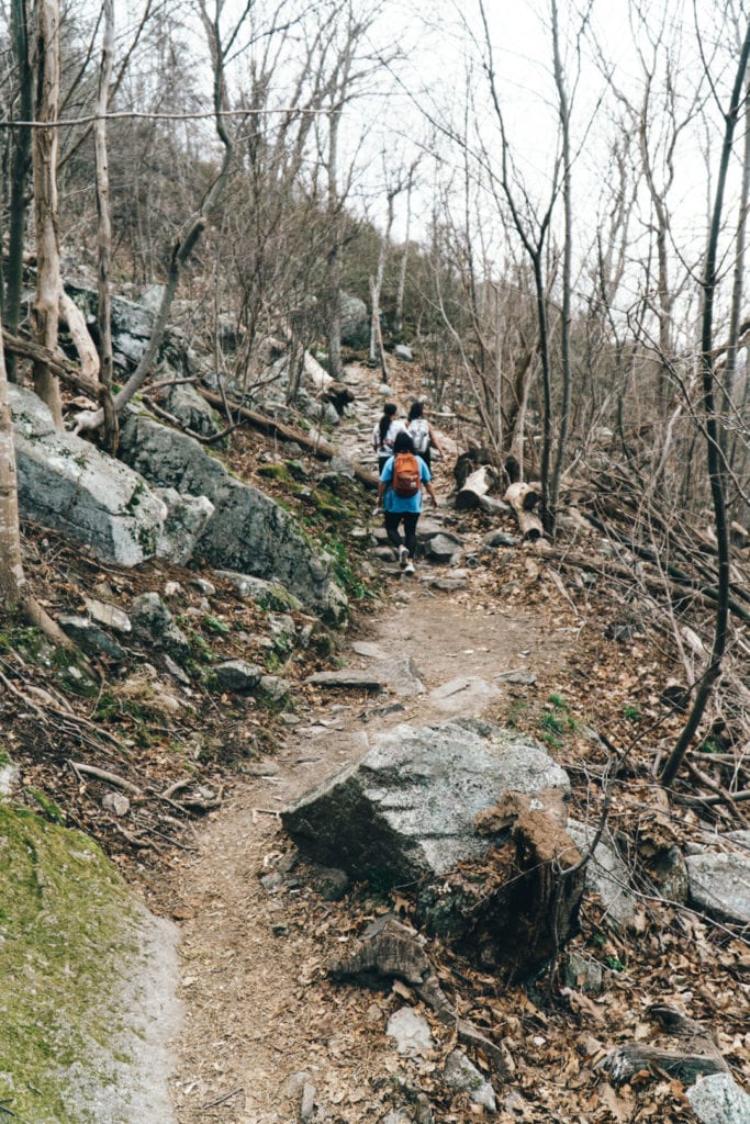 Old rag summit trail Shenandoah National Park Virginia