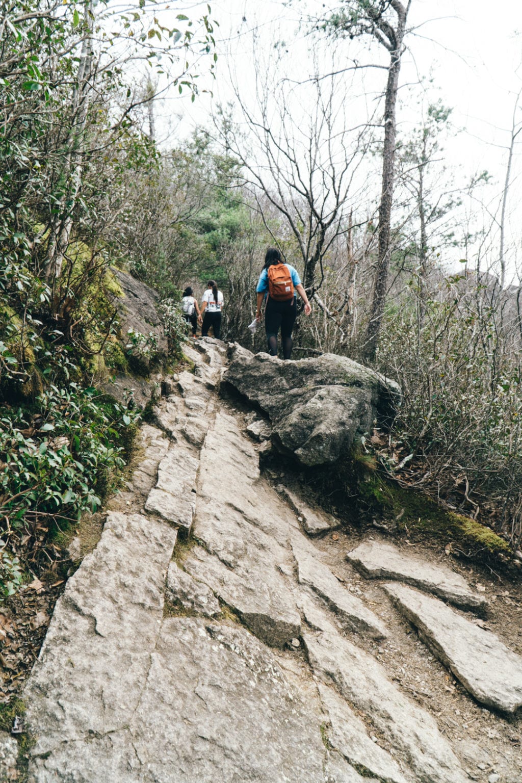 Hiking to Old Rag Summit - the shorter way! - Caroline Rose Travel