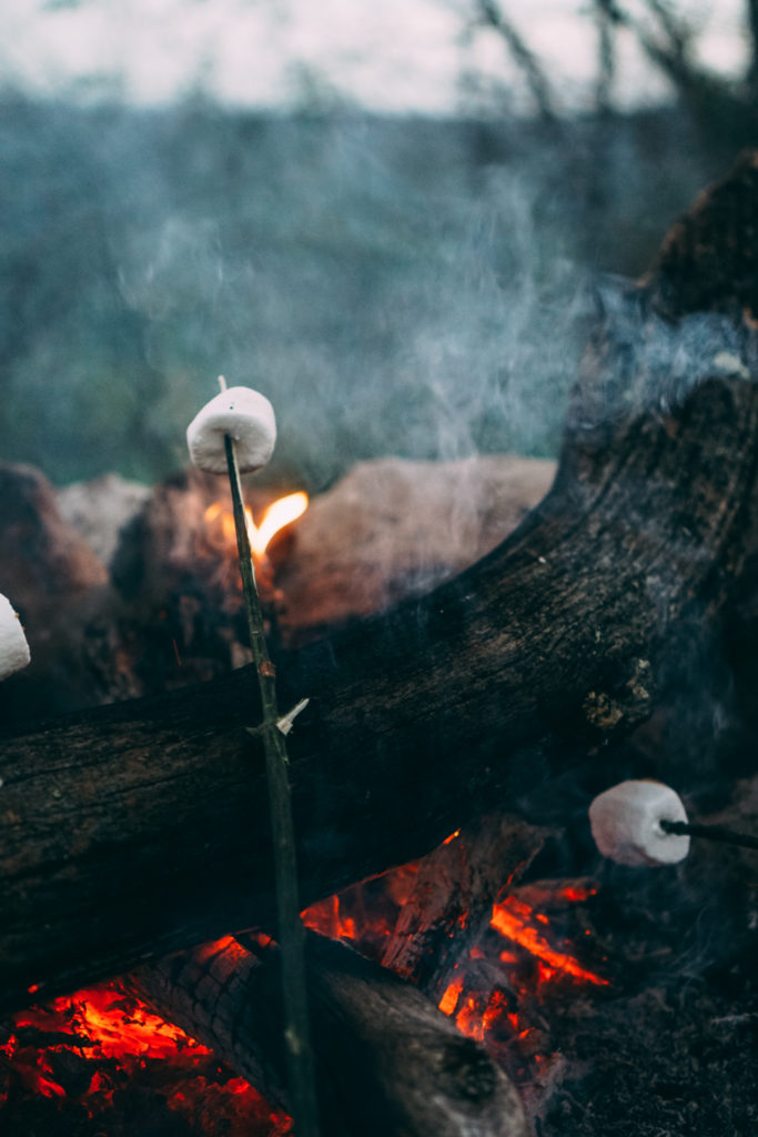 Smores cooking over a campfire