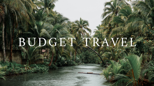 Budget travel and palm trees