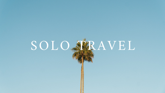 Solo Travel and palm tree