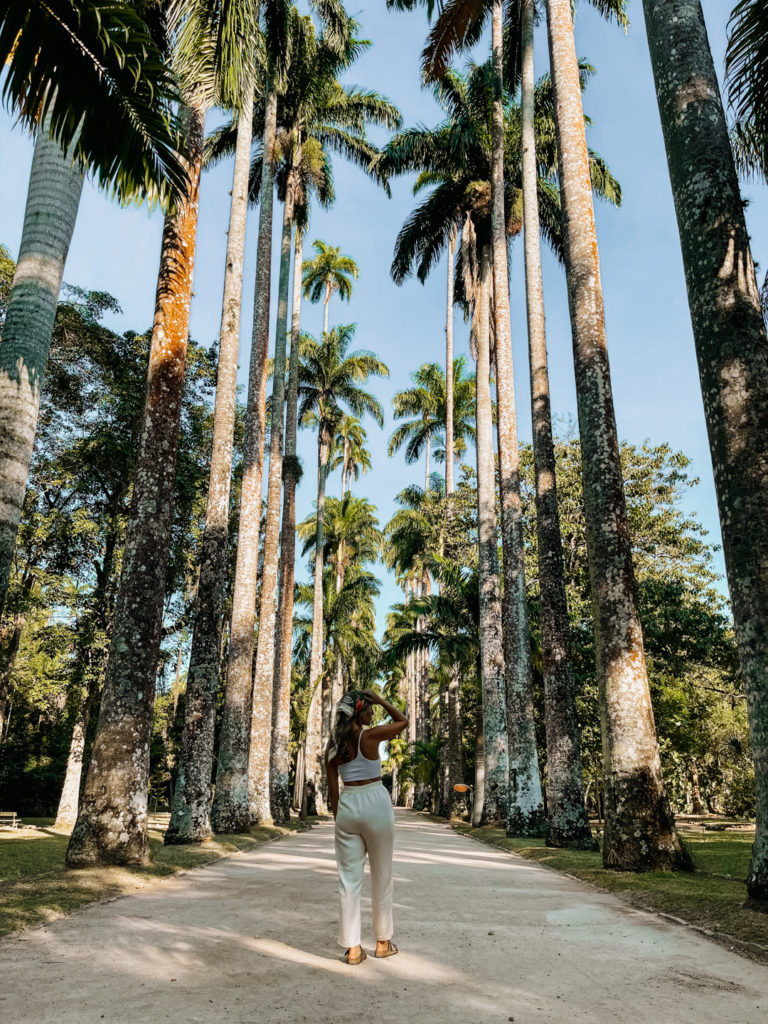 Jardim Botanico Rio de Janeiro