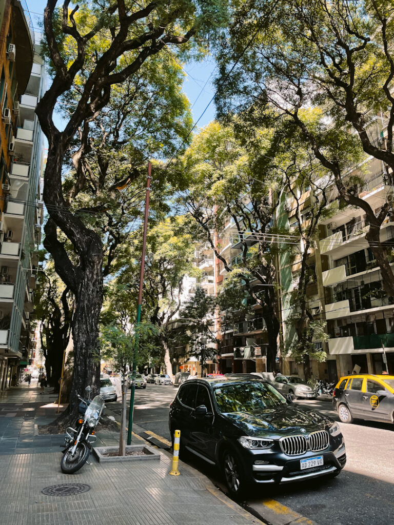 Buenos Aires street in Recoleta lined with trees
