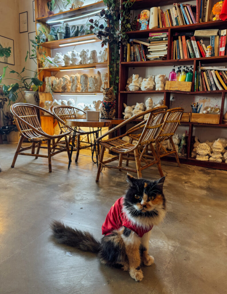 Cat cafe Bookstore